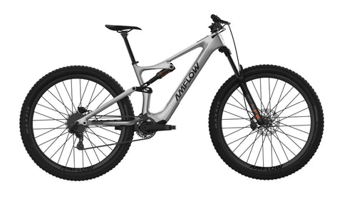 Amflow PL Carbon 800WH E Bike (DJI AVINOX)